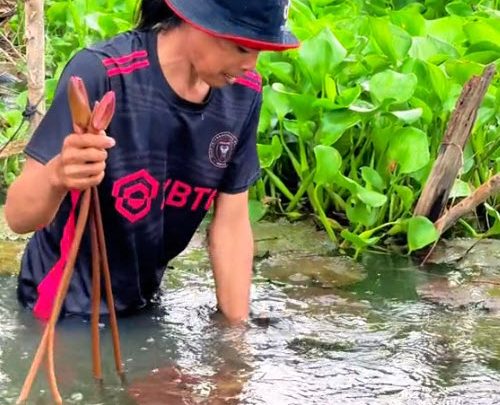 Tiểu Sử Mộng Kha Là Ai? Sinh Năm Bao Nhiêu? Tên Thật Là Gì?